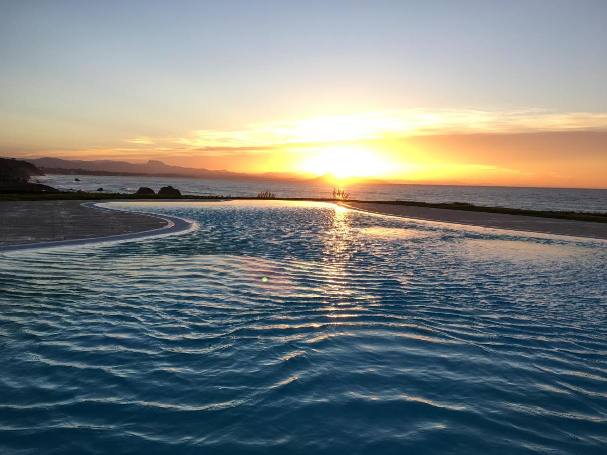 Апартаменты Petit Studio Terrasse Rez De Jardin Piscine Sur L'Ocean Биарриц Экстерьер фото